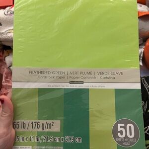 Recollections Feathered Green Cardstock Paper Pink Blue White